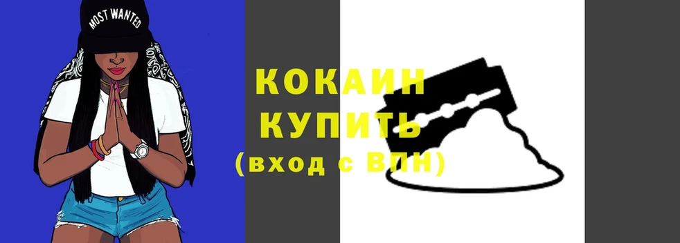 закладка  кракен ТОР  Кокаин Эквадор  Гдов 